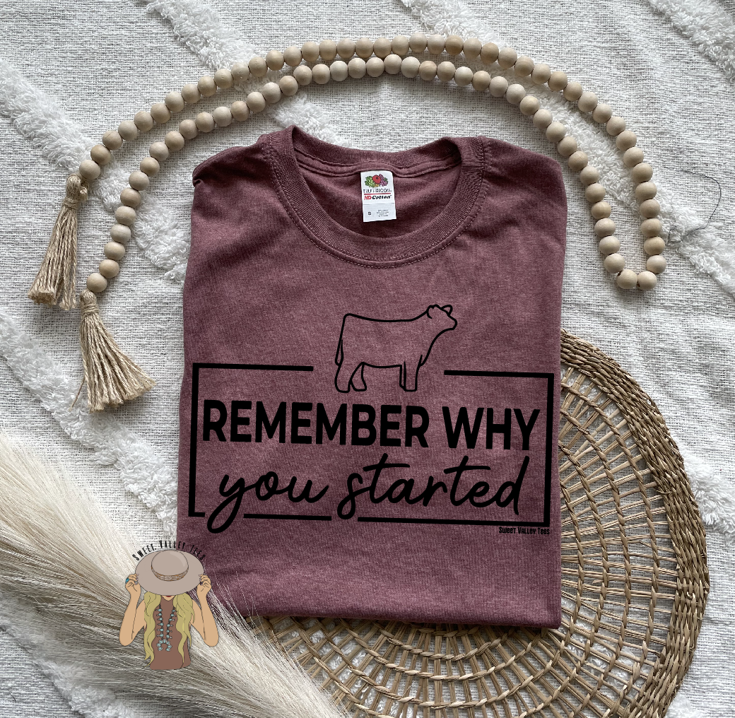 Remember Why You Started Tee - Heather Mauve