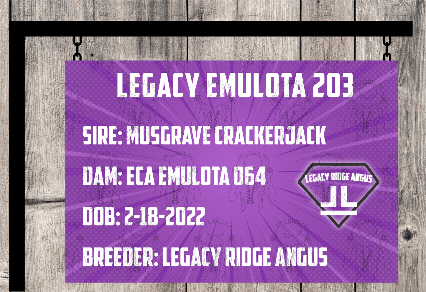 Custom Purple Comic Burst Pedigree Sign