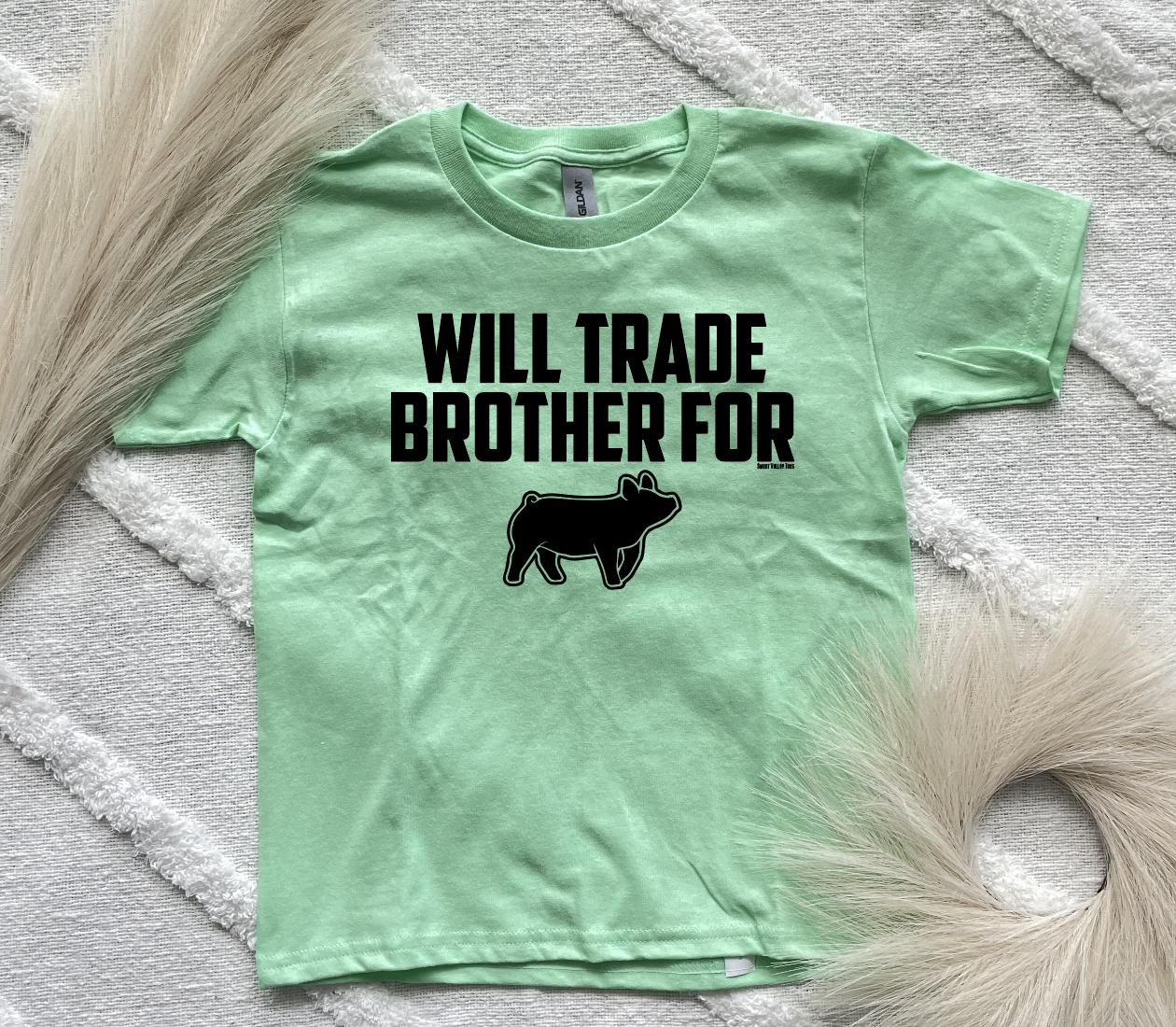 Will Trade Brother for Pig YOUTH Tee - Mint