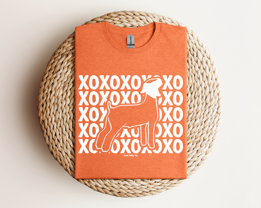 XOXO Tee - Heather Orange
