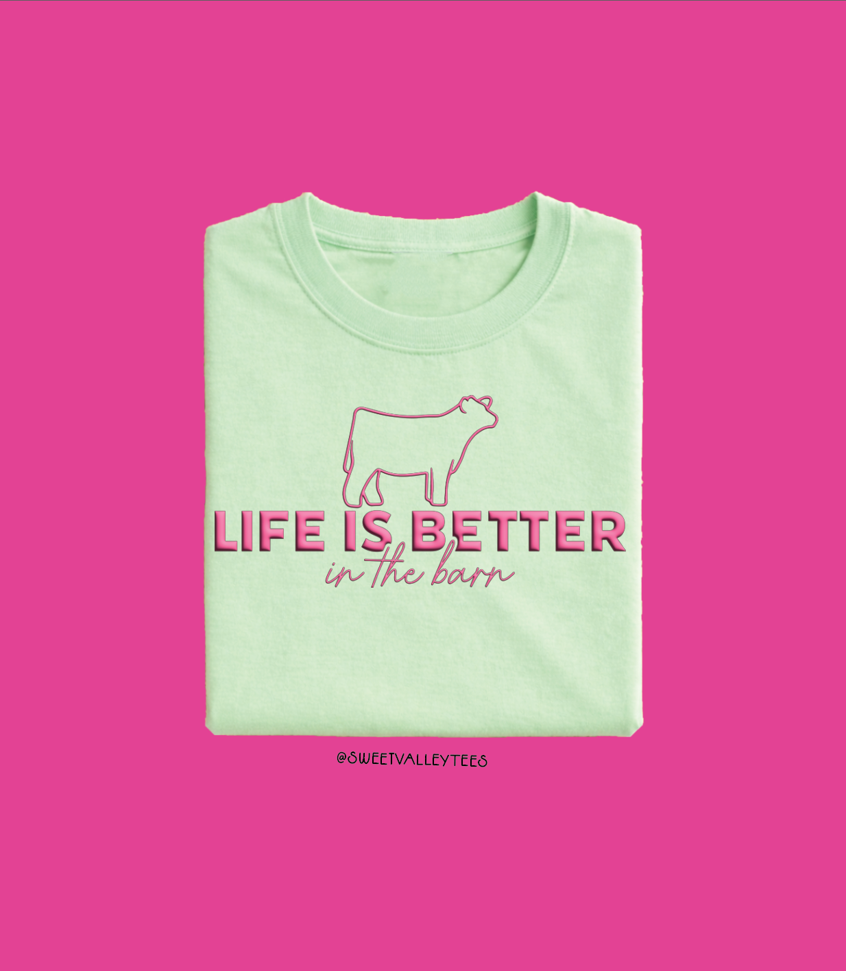 Life is Better in the Barn Tee - Mint - Pink Puff