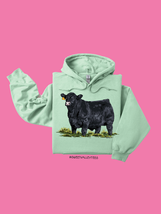 Vintage Bull Hoodie - Mint