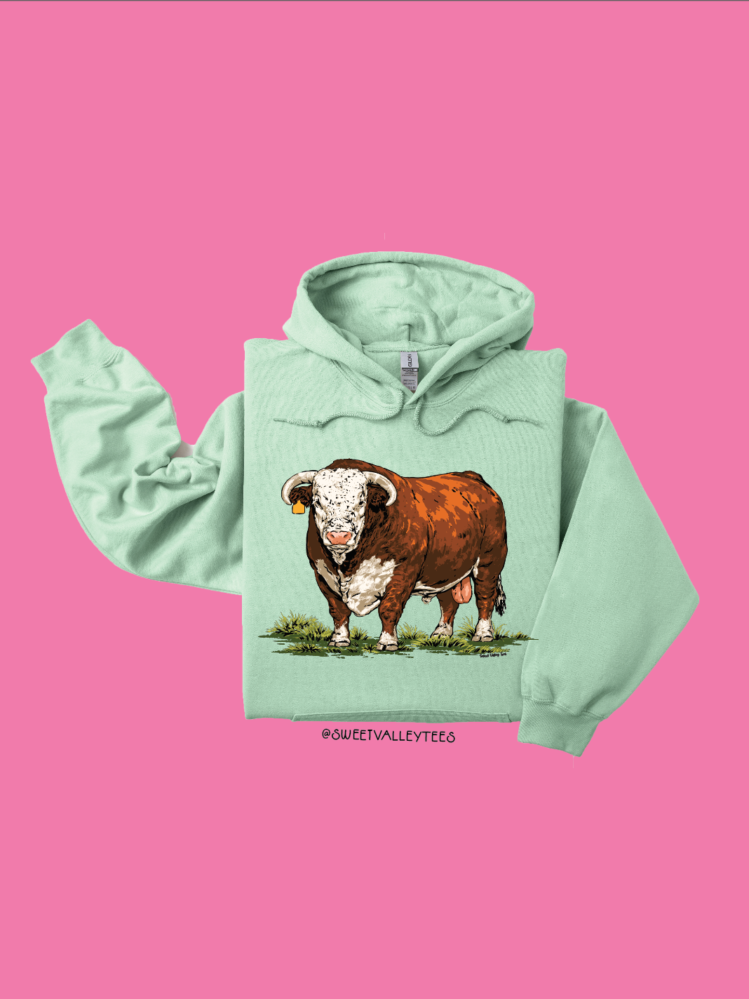 Vintage Bull Hoodie - Mint