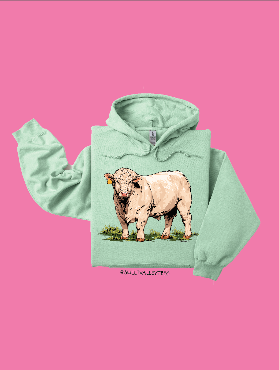 Vintage Bull Hoodie - Mint