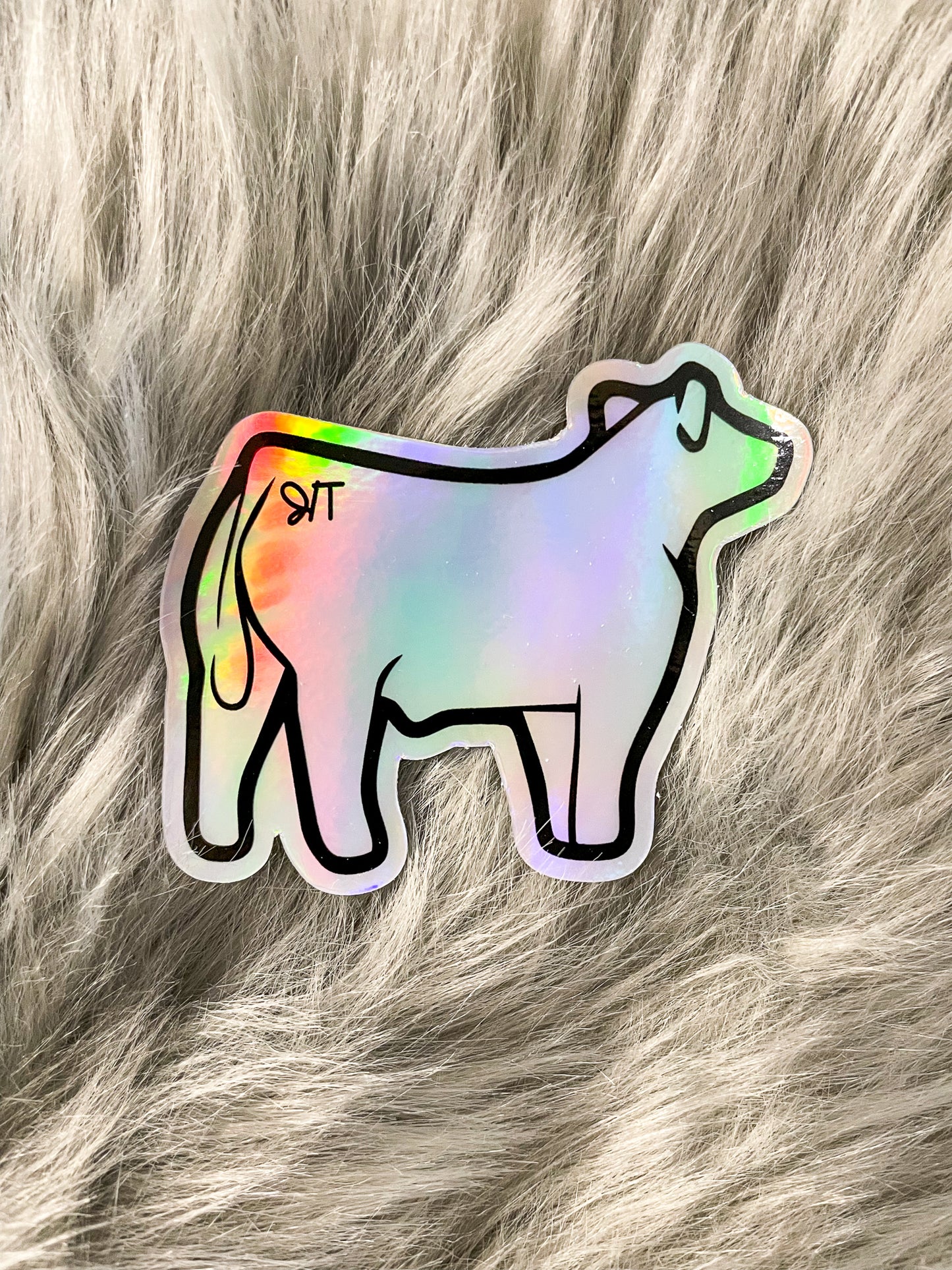 Holographic Show Steer Sticker